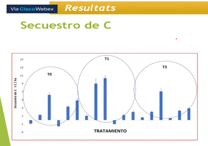 gráfico
